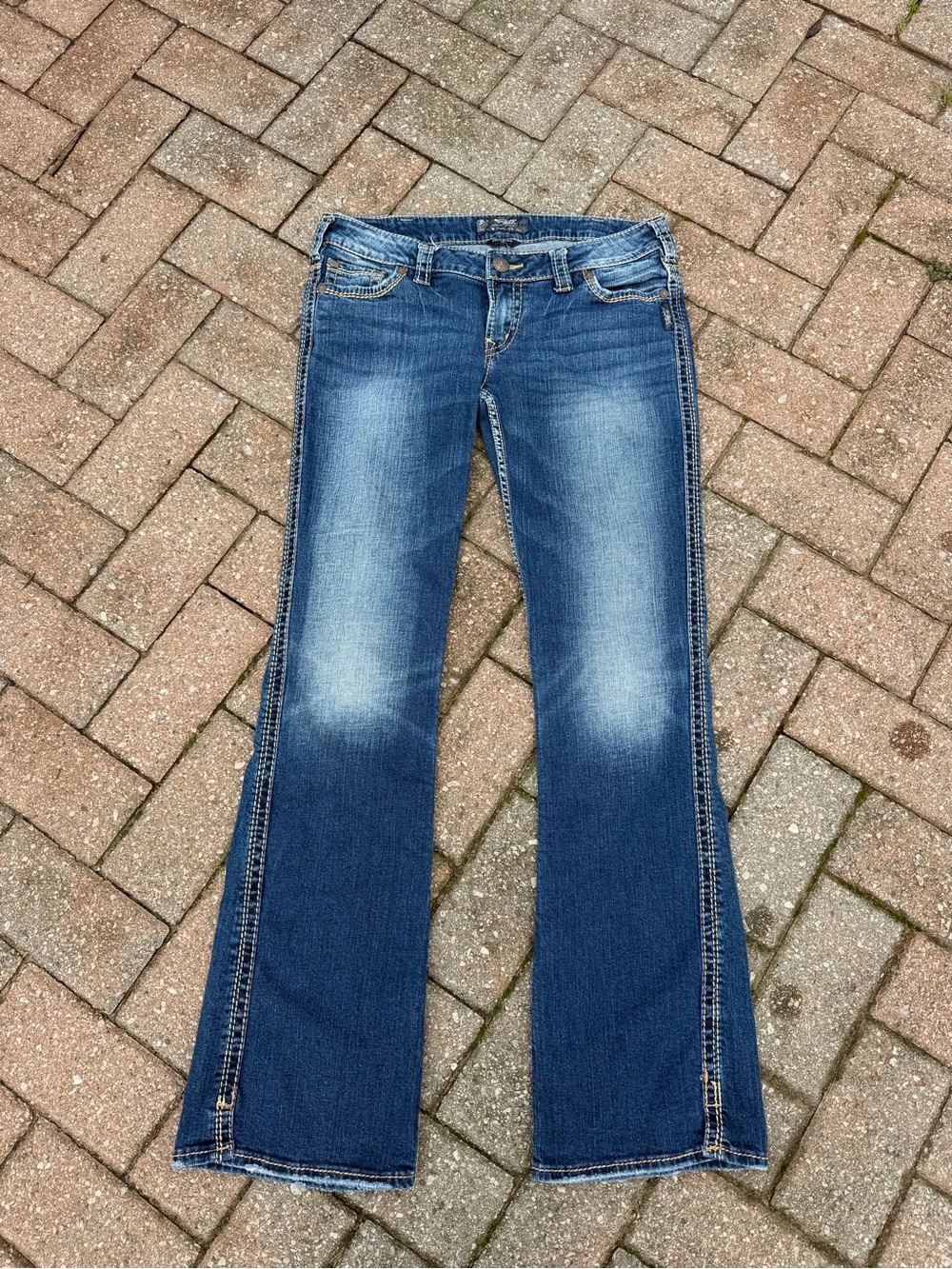 Y2K Low Rise Frances Silver Jeans Size 31x33